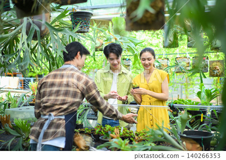 selecting staghorn fern with gardener in nursery plant shop selecting staghorn fern with gardener in nursery plant shop 140266353