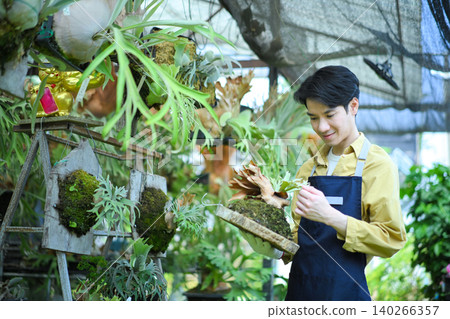 Man inspecting staghorn fern, showing attention to detail and plant care expertise 140266357