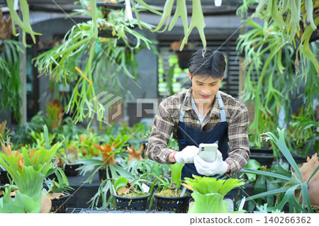 Gardener using smartphone with staghorn fern in nursery 140266362