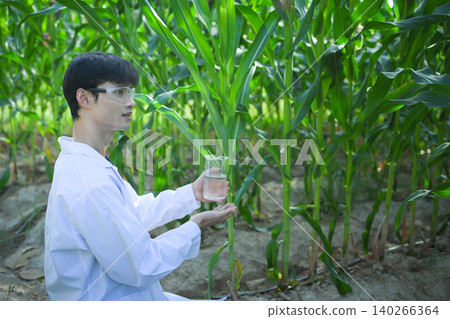 Agricultural scientist testing water quality in corn field 140266364