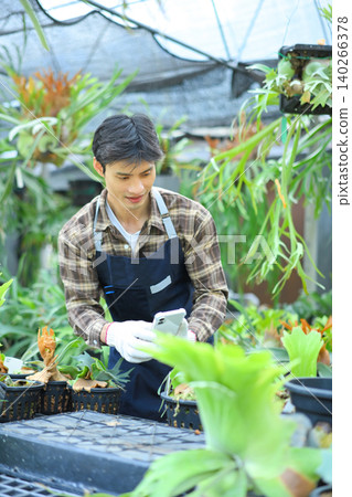 Gardener using smartphone with staghorn fern in nursery Gardener using smartphone with staghorn fern in nursery 140266378