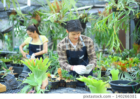 Gardener using smartphone with staghorn fern in nursery Gardener using smartphone with staghorn fern in nursery 140266381