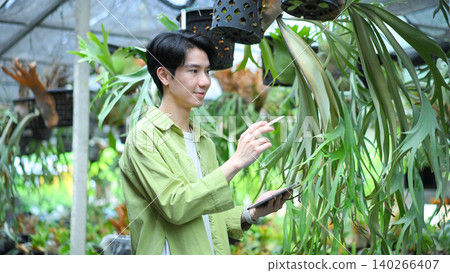 Gardener using tablet to check staghorn fern in greenhouse Gardener using tablet to check staghorn fern in greenhouse 140266407