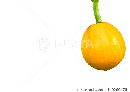 Ripe yellow orange pumpkin ready to cooking 140266476