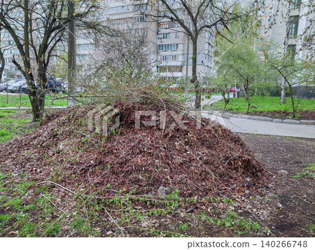 Cleaning of city streets after winter.Pile of cut branches and older leaves Cleaning of city streets after winter.Pile of cut branches and older leaves 140266748