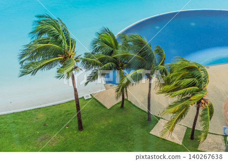 Windblown palms and dark clouds show a storm approaching a coastal city, representing hurricane season, extreme weather and climate risk concept Windblown palms and dark clouds show a storm approaching a coastal city, representing hurricane season, extreme weather and climate risk concept 140267638