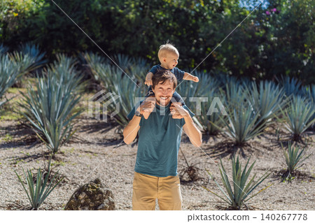 Man and baby visiting blue agave plantation in Mexico, exploring rows of agave plants used for tequila and mezcal production, family travel and culture concept Man and baby visiting blue agave plantation in Mexico, exploring rows of agave plants used for tequila and mezcal production, family travel and culture concept 140267778