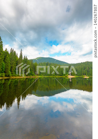 landscape by the lake on cloudy morning. coniferous forest near the lake and the forest mountain. awesome summer view of carpathian mountain reflection on synevr lake water surface. clean environment landscape by the lake on cloudy morning. coniferous forest near the lake and the forest mountain. awesome summer view of carpathian mountain reflection on synevr lake water surface. clean environment 140267807