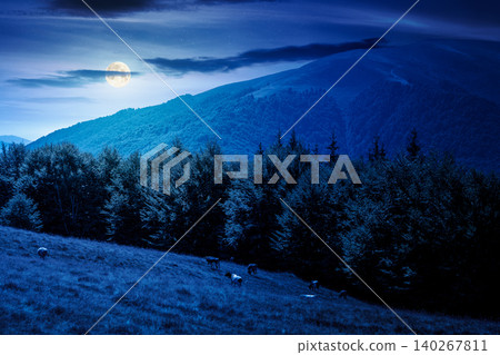mountainous landscape in summer at night. picturesque highland woods. full moon over grassy meadow. view of carpathian mountains countryside with deciduous forest on a hill behind the pasture mountainous landscape in summer at night. picturesque highland woods. full moon over grassy meadow. view of carpathian mountains countryside with deciduous forest on a hill behind the pasture 140267811