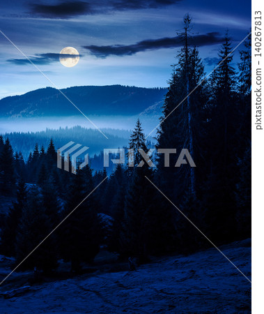 cold fog in the mountain valley at night. nature phenomenon over mysterious mountain landscape with coniferous forest. full moon over trees in misty nature background for halloween. view from a hill 140267813