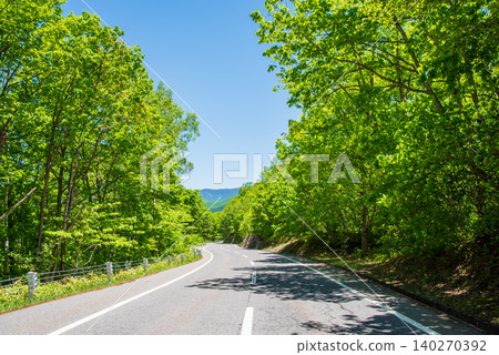 春暖花開的季節,清爽宜人的山路「乘鞍迴聲線」(長野縣松本市) 春暖花開的季節,清爽宜人的山路「乘鞍迴聲線」(長野縣松本市) 140270392
