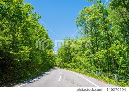 The refreshing mountain road "Norikura Echo Line" in the season of fresh greenery (Matsumoto City, Nagano Prefecture) The refreshing mountain road "Norikura Echo Line" in the season of fresh greenery (Matsumoto City, Nagano Prefecture) 140270394
