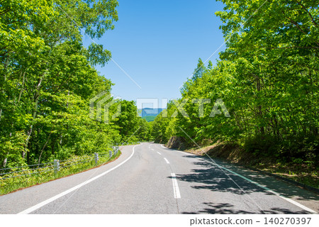 The refreshing mountain road "Norikura Echo Line" in the season of fresh greenery (Matsumoto City, Nagano Prefecture) 140270397
