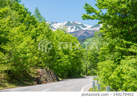 The refreshing mountain road "Norikura Echo Line" in the season of fresh greenery (Matsumoto City, Nagano Prefecture) The refreshing mountain road "Norikura Echo Line" in the season of fresh greenery (Matsumoto City, Nagano Prefecture) 140270402