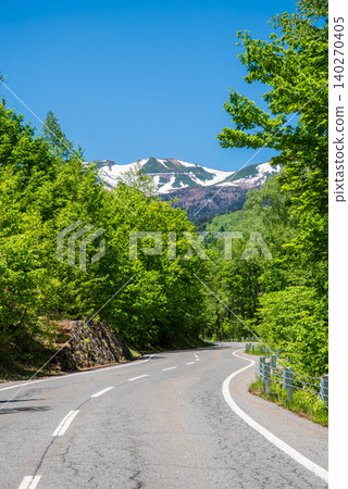 The refreshing mountain road "Norikura Echo Line" in the season of fresh greenery (Matsumoto City, Nagano Prefecture) The refreshing mountain road "Norikura Echo Line" in the season of fresh greenery (Matsumoto City, Nagano Prefecture) 140270405