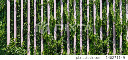 Vertical garden on a green wall. Environmentally friendly urban space Vertical garden on a green wall. Environmentally friendly urban space 140271149