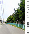 Overgrown street trees 140271191