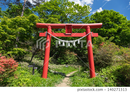 The red torii gate of Kurokamiyama Shrine, Haruna Mountain, Yaseone Pass 140271313