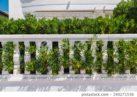 Green ornamental hedge growing through a white decorative fence in a Mediterranean residential neighborhood. Green ornamental hedge growing through a white decorative fence in a Mediterranean residential neighborhood. 140271536