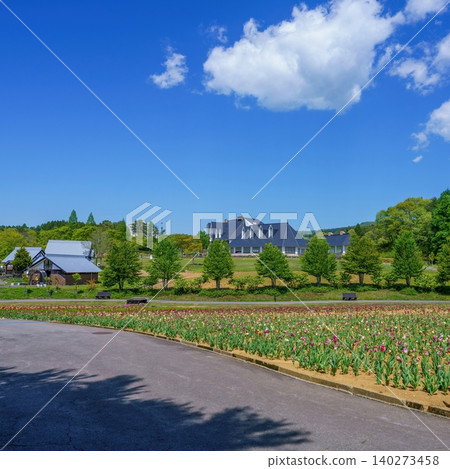 春光明媚的高山度假勝地景色,藍天白雲,鬱金香花田和西式建築點綴其間。 春光明媚的高山度假勝地景色,藍天白雲,鬱金香花田和西式建築點綴其間。 140273458