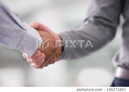 Business people, handshake and recruitment or b2b for deal, support and collaboration in office. Partnership, introduction and welcome for merger in workplace, networking and thank you in closeup 140273801