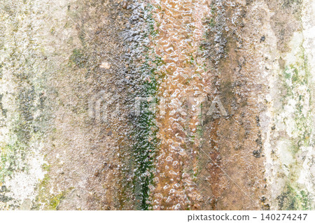 Abstract closeup of weathered surface algae mineral deposits moisture stains natural erosion patterns creating detailed textured background Abstract closeup of weathered surface algae mineral deposits moisture stains natural erosion patterns creating detailed textured background 140274247