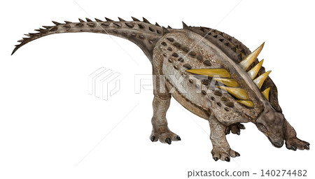Antarctopelta: A medium-sized ankylosaur discovered in the Antarctic during the Late Cretaceous period. (Overhead view) 140274482