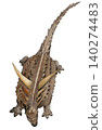 Antarctopelta: A medium-sized ankylosaur discovered in the Antarctic during the Late Cretaceous period. (Overhead view) Antarctopelta: A medium-sized ankylosaur discovered in the Antarctic during the Late Cretaceous period. (Overhead view) 140274483