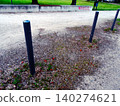 the bench in the park 140274621