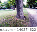 green park with tree and green grass 140274622