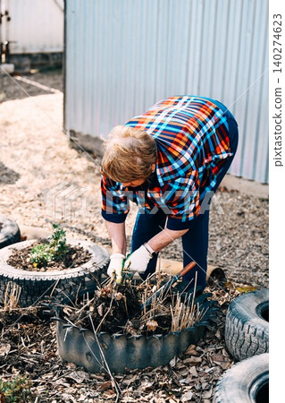 Russian 73 years old elderly woman in glove weeds handmade flower bed made of old car tire in rural village garden backyard 140274623