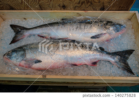 Two salmon lined up on a wooden box of ice. 140275828