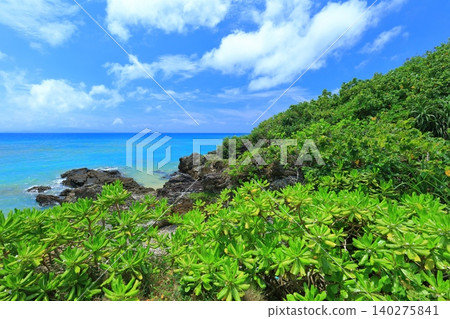 [Okinawa Prefecture] Sunny weather at Ryukyu Kannonzaki (Ishigaki Island) 140275841