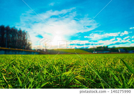 A landscape of grass and blue sky shining in the backlight. A landscape of grass and blue sky shining in the backlight. 140275990
