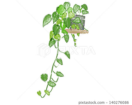 水彩畫的繡球花的插圖 水彩畫的繡球花的插圖 140276086