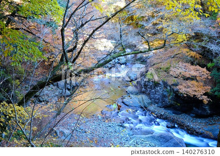 [Kanagawa Prefecture] The flow of the Hayatogawa Valley in late autumn 140276310