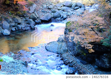 【神奈川縣】秋色染紅的早戶川谷 140276316