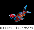 一張兩隻朱文錦金魚的照片。 140276875