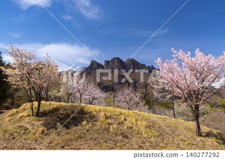 Kamikosaka, Shimonita-machi, Kanra-gun, Gunma Prefecture: Gunma Prefectural Forest Park Sakura-no-Sato - A park with cherry blossoms, including Oyamazakura, in bloom, and a view of Mt. Myogi. Kamikosaka, Shimonita-machi, Kanra-gun, Gunma Prefecture: Gunma Prefectural Forest Park Sakura-no-Sato - A park with cherry blossoms, including Oyamazakura, in bloom, and a view of Mt. Myogi. 140277292