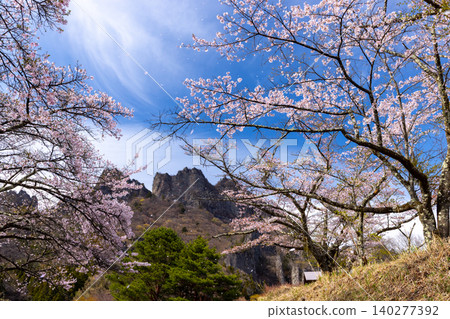 A row of Somei Yoshino cherry trees and a view of Mt. Myogi at the second parking lot of Sakura-no-Sato Prefectural Forest Park, Kamikosaka, Shimonita-machi, Kanra-gun, Gunma Prefecture. A row of Somei Yoshino cherry trees and a view of Mt. Myogi at the second parking lot of Sakura-no-Sato Prefectural Forest Park, Kamikosaka, Shimonita-machi, Kanra-gun, Gunma Prefecture. 140277392