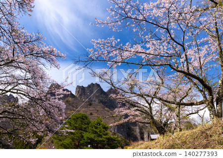 A row of Somei Yoshino cherry trees and a view of Mt. Myogi at the second parking lot of Sakura-no-Sato Prefectural Forest Park, Kamikosaka, Shimonita-machi, Kanra-gun, Gunma Prefecture. A row of Somei Yoshino cherry trees and a view of Mt. Myogi at the second parking lot of Sakura-no-Sato Prefectural Forest Park, Kamikosaka, Shimonita-machi, Kanra-gun, Gunma Prefecture. 140277393