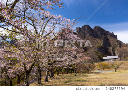 A row of Somei Yoshino cherry trees and a view of Mt. Myogi at the second parking lot of Sakura-no-Sato Prefectural Forest Park, Kamikosaka, Shimonita-machi, Kanra-gun, Gunma Prefecture. A row of Somei Yoshino cherry trees and a view of Mt. Myogi at the second parking lot of Sakura-no-Sato Prefectural Forest Park, Kamikosaka, Shimonita-machi, Kanra-gun, Gunma Prefecture. 140277394