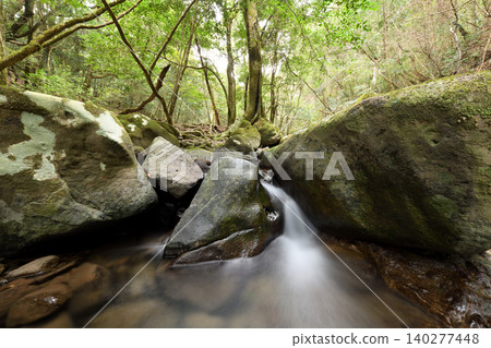 A stream flows between the rocks beneath the green forest. A stream flows between the rocks beneath the green forest. 140277448