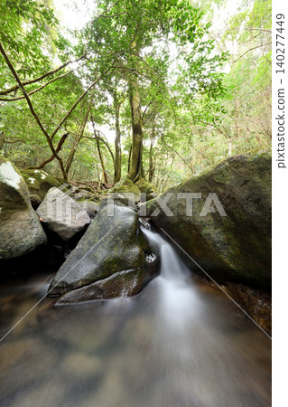A stream flows between the rocks beneath the green forest. A stream flows between the rocks beneath the green forest. 140277449