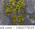 A stone wall with moss 140277639