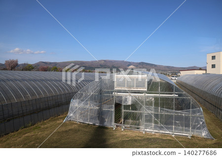 April 26 2026 Hakodate Hokuto Farmland With Mountains Under Blue Sky 140277686