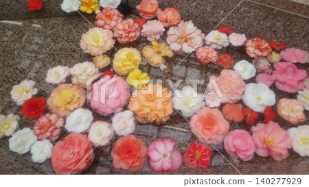 浮在水面上的花 140277929