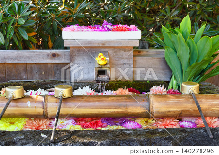Kusatsu Onsen: Flower water basin at Shirane Shrine (Kusatsu, Kusatsu Town, Agatsuma District, Gunma Prefecture) Kusatsu Onsen: Flower water basin at Shirane Shrine (Kusatsu, Kusatsu Town, Agatsuma District, Gunma Prefecture) 140278296
