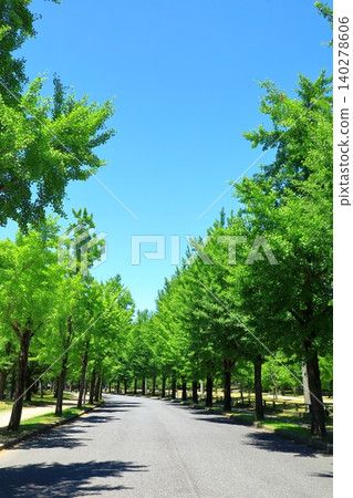 Fresh green Osaka Castle Park Fresh green Osaka Castle Park 140278606