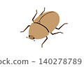 Illustration of a brown beetle 140278789